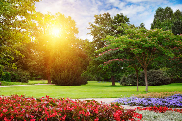 istock summer park with beautiful flowerbeds 668154574