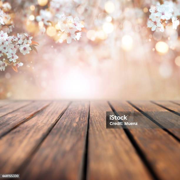 Cherry Blossoms In Spring With Wooden Table Stock Photo - Download Image Now - Checkout, Decorating, Defocused