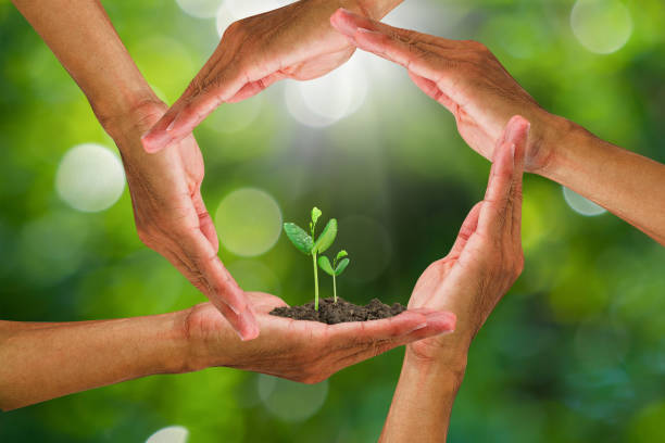 istock Hands around sprout isolated on blurred green bokeh background 668155552