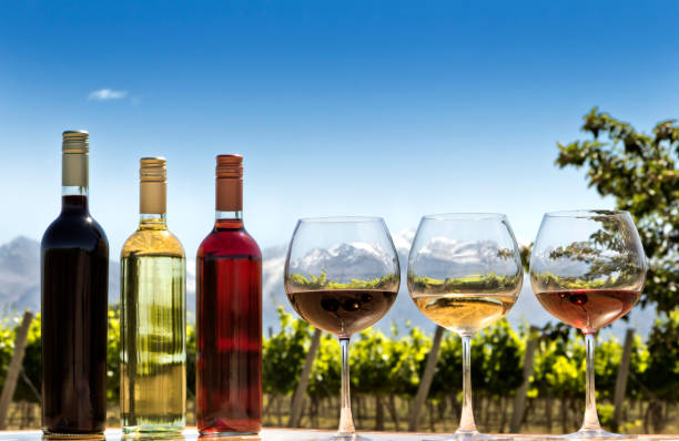 botellas y copas de vino - fotos de viñedos chilenos fotografías e imágenes de stock