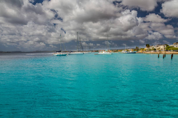 istock Coast view of Bonaire's water 668168236