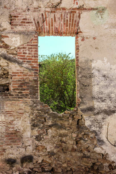 istock Partly demolished brick wall with window view of green tree 668168294