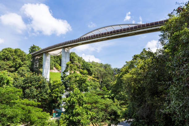 Day scene of Henderson wave bridge SINGAPORE - MARCH 1, 2015: Day scene of Henderson wave bridge, Singapore. Henderson wave bridge is one of the most attractive pedestrian bridge in Singapore. henderson waves stock pictures, royalty-free photos & images