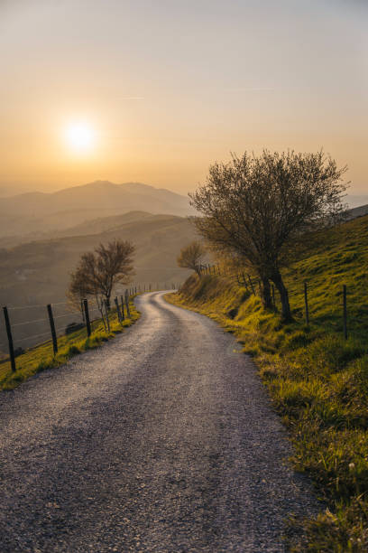 istock Countryside road at sunset 668188432