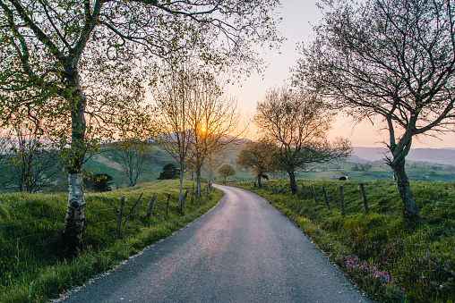Countryside road at sunset