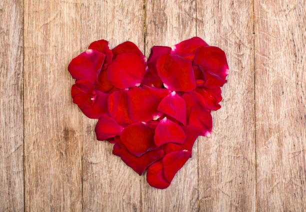 istock Heart made of red petals 668190012