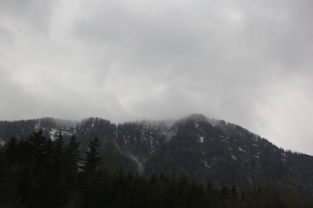 foggy clouds rising from dark alpine mountain forest