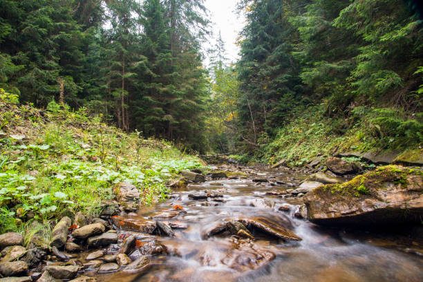 istock Autumn mountain river view with waterfall and bridge Ukraine, Jaremcha 668190722