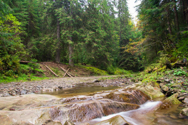 istock Autumn mountain river view with waterfall and bridge Ukraine, Jaremcha 668190762