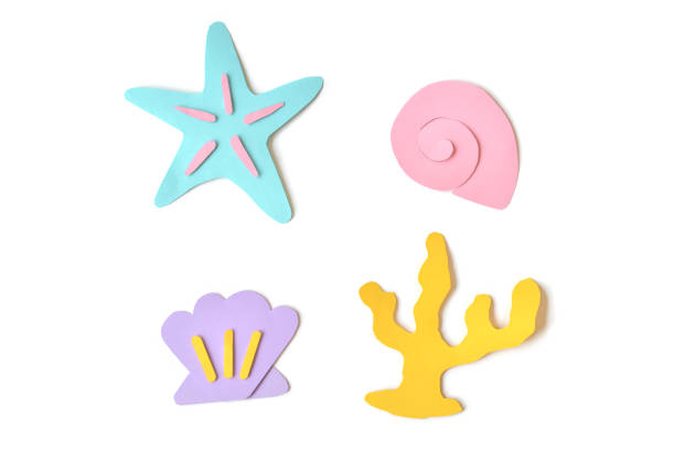 Seashells and starfish paper cut on white background - isolated
