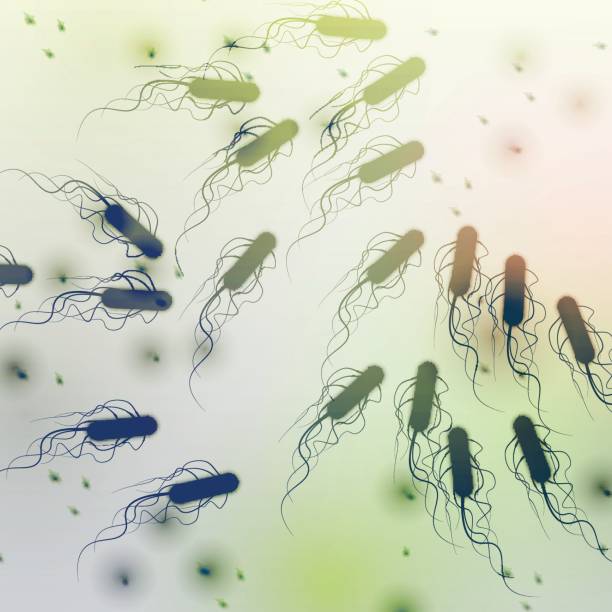 Group of E. coli Bacteria - Vector Illustration vector art illustration