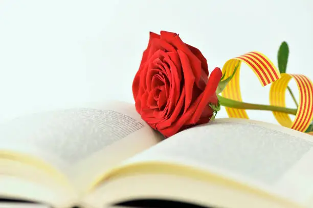 Photo of red rose and catalan flag in an open book