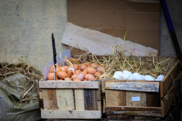 crates full of eggs on sale on the streets of Kandy, Sri Lanka