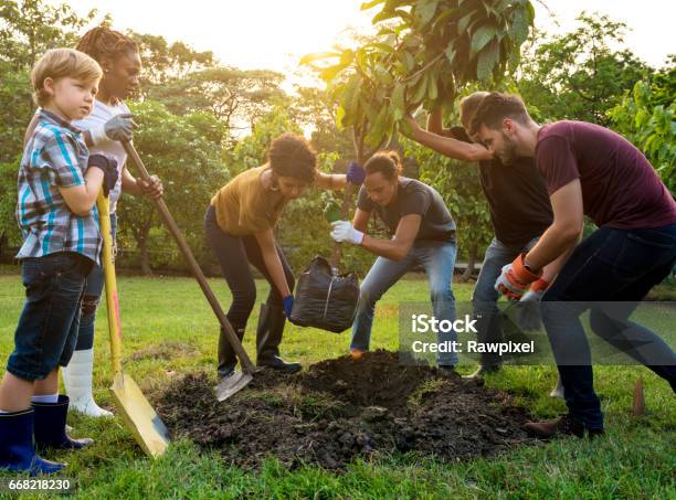 Gruppe Von Menschen Pflanzen Sie Einen Baum Zusammen Im Freien Stockfoto und mehr Bilder von Baum