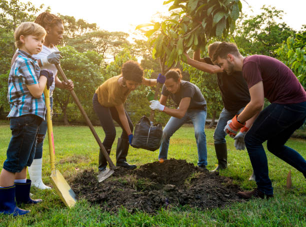 grupo de personas de la planta un árbol juntos al aire libre - plantar en maceta fotografías e imágenes de stock