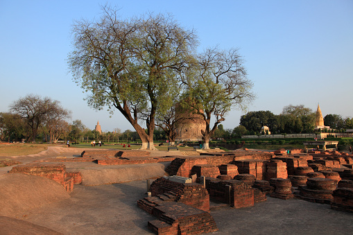 SARNATH,INDIA - MARCH 08,2016: Unidentified tourists and pilgrims visit the Buddhist monuments in Sarnath,Uttar Pradesh, India.Sarnath is a Buddhist historical place and a pilgrim center.