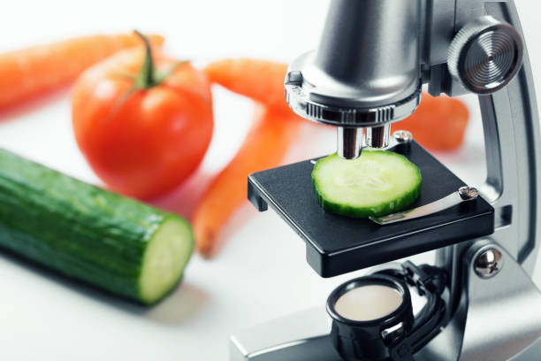 istock food quality control concept - cucumber inspection with microscope 668238990