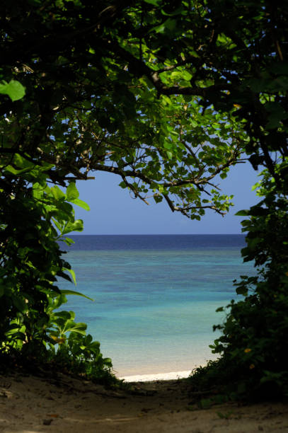 The road to the sea