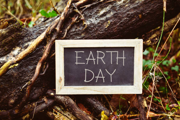 istock chalkboard with the text earth day in a tree 668270972