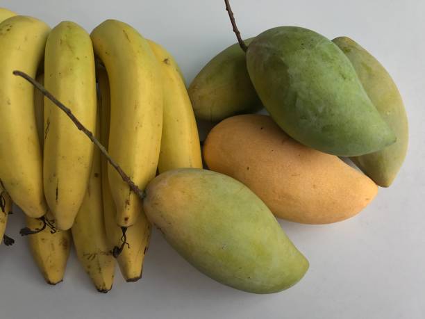 istock Ripe fruits 668272386