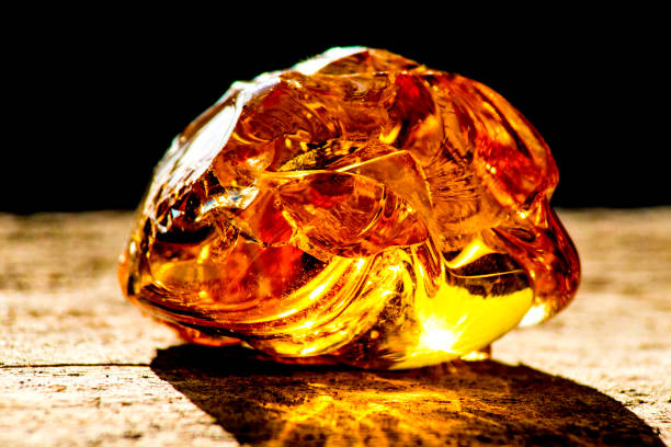 Amber in sun Amber in sun amber stock pictures, royalty-free photos & images