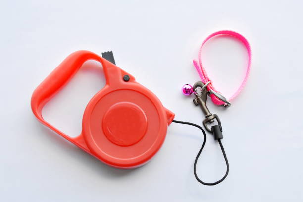 istock red automatic leash and pink nylon dog collar 668283654