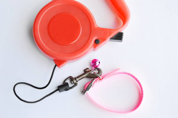 istock red automatic leash and pink nylon pet collar 668284968