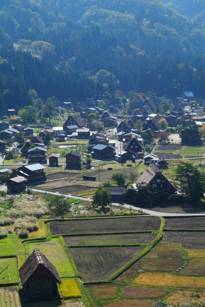 istock Shirakawago Ogi-machi village 668285536