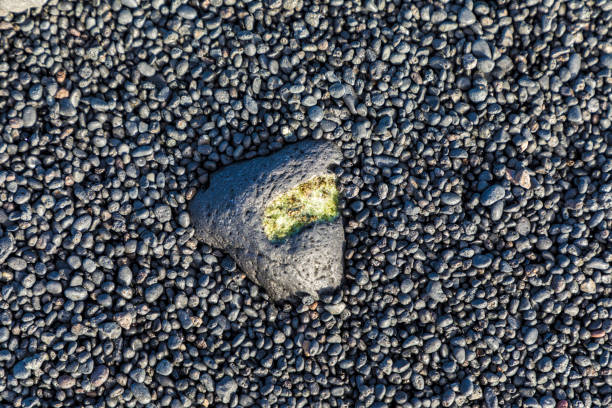 Volcanic bomb, La Reunion island, Boulder beach near SAint-Paul. Green crystals on the volcanic bomb are magnesium iron silicates Olivines.