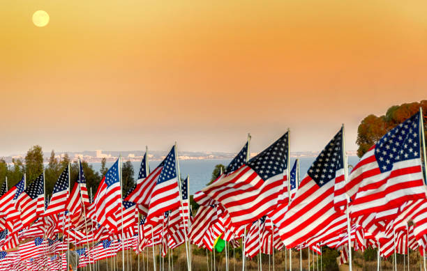 Many US flags flying at sunset with sky, ocean background Many US flags on poles fly with an orange sunset sky and distant ocean and land background populism stock pictures, royalty-free photos & images