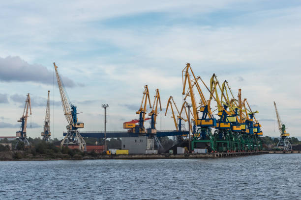 istock Taps row along the harbor shoreline. 668312348