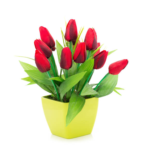 istock Bouquet of Plastic flowers. Plastic Flowers set on white background 668319120