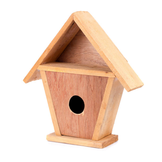 istock Wooden Bird House Isolated on White background 668319142