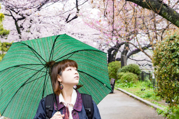 istock Woman under colorful cherry tree 668326732