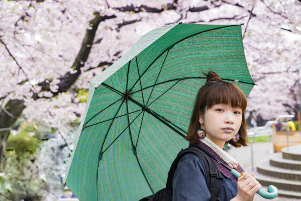 istock Woman under colorful cherry tree 668331074