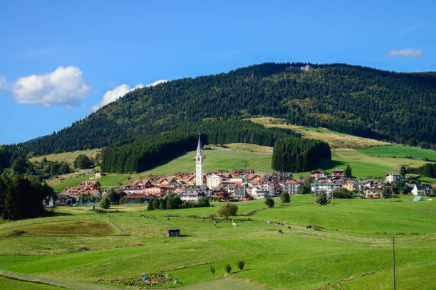 Plateau of Asiago, view of Camporovere Plateau of Asiago, view of Camporovere albero stock pictures, royalty-free photos & images