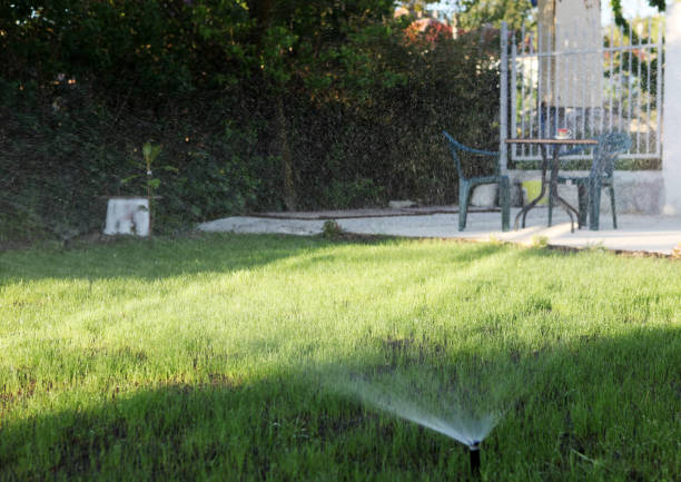 istock sprinkler of automatic watering 668351578