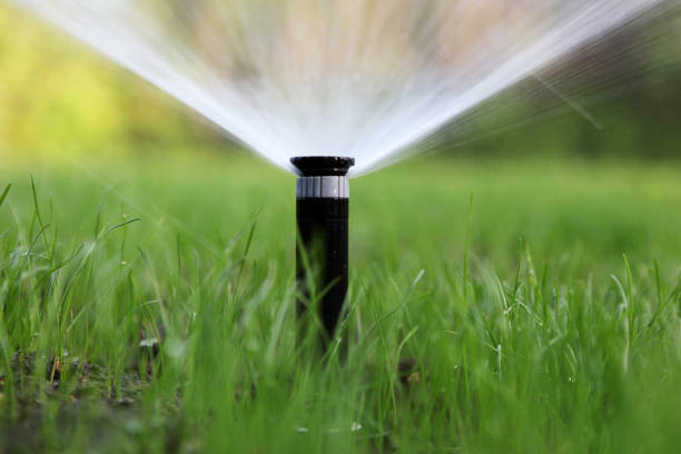 istock sprinkler of automatic watering 668351622
