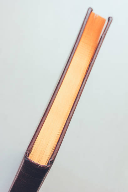 istock a book with a gilded edge on a light gray background, top view. selective focus 668354976