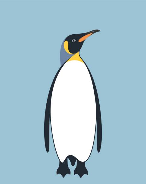 360+ King Penguin Stock Illustrations, Royalty-Free Vector Graphics ...