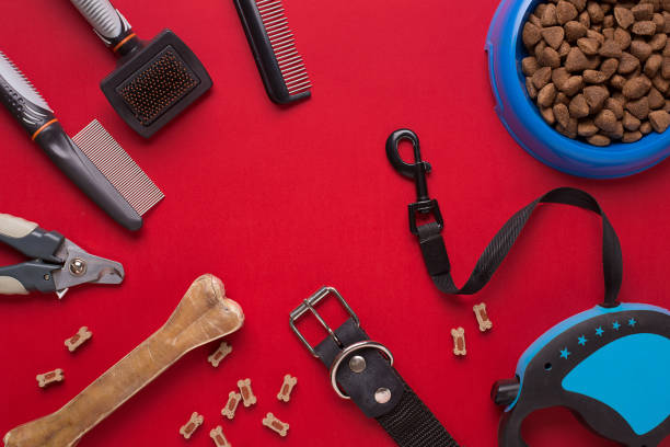istock Collar, bowl with feed, leash, delicacy, combs and brushes for dogs. Isolated on red background 668360034