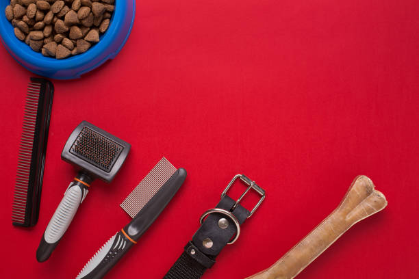 istock Pet accessories on red background. Top view 668360462