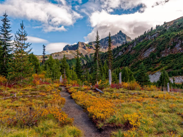 istock Mt. Rainier National Park Changing Colors 668374296