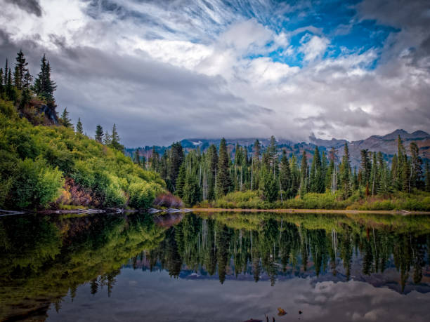 istock Bench Lake, Mt. Rainier National Park 668377490