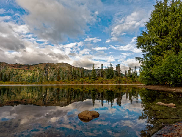 istock Bench Lake, Mt. Rainier National Park 668377608