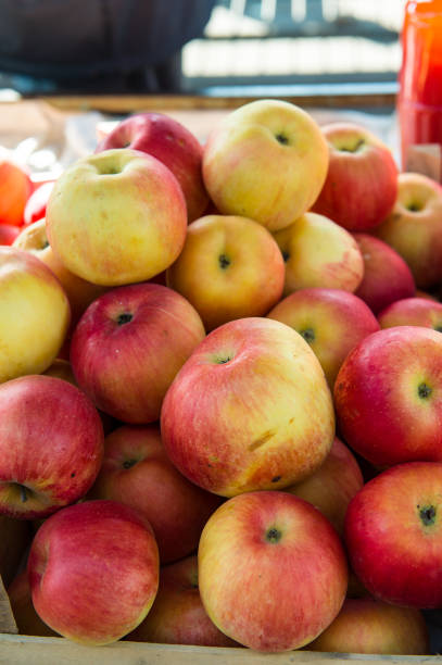 manzana fresca en el mercado - macintosh apples fotos fotografías e imágenes de stock