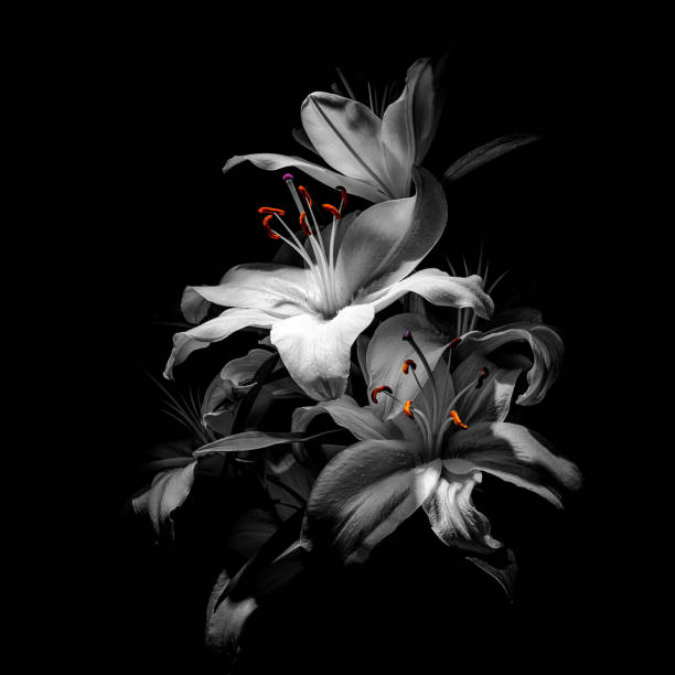 istock bouquet of lilies 668389042
