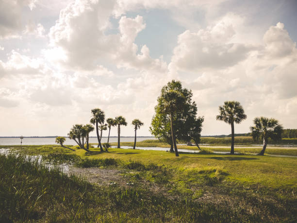 istock Beautiful Florida wetlands 668389832