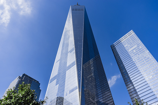 Street level view of Freedom Tower, One World Trade Center in New York City. With a tree in front of it and surrounding buildings visible.