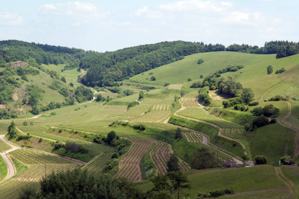 istock Badberg; Alt-Vogtsburg, kaiserstuhl 668395940